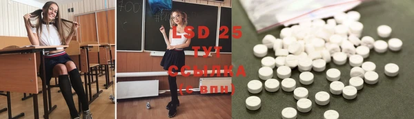 ПСИЛОЦИБИНОВЫЕ ГРИБЫ Покачи