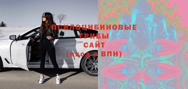 ПСИЛОЦИБИНОВЫЕ ГРИБЫ Покачи